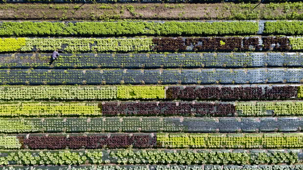 joao-vitor-marcilio-aDyI7BnFWow-unsplash-1